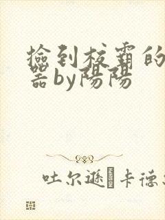 捡到校霸的遥控器by阳阳