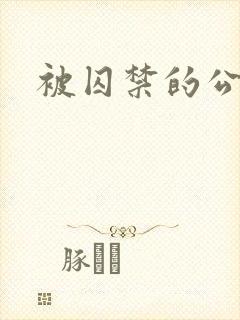 被囚禁的公主
