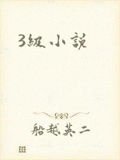 3级小说