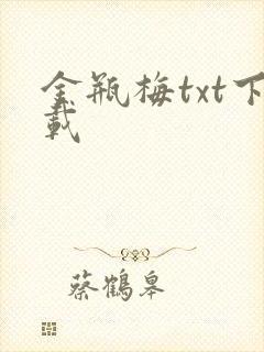 金瓶梅txt下载