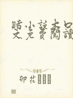 赌小说木口银全文免费阅读笔趣阁