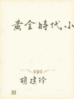 黄金时代小说