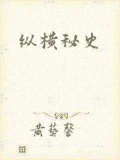 纵横秘史封面