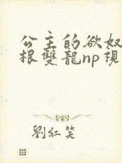 公主的欲奴h四根双龙np视频