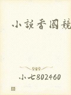 小说香国竞艳