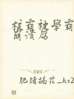 校霸被学霸玩到崩溃腐