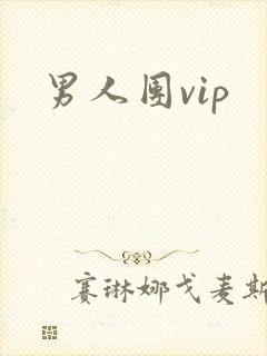 男人团vip
