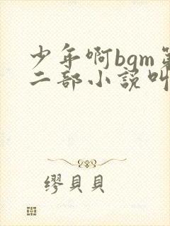 少年啊bgm第二部小说叫什么