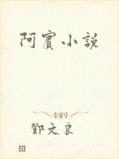 阿宾小说