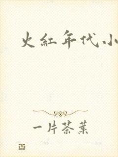 火红年代小说封面