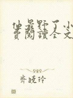 他最野了小说免费阅读全文封面
