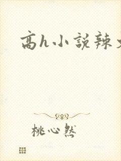 高h小说辣文