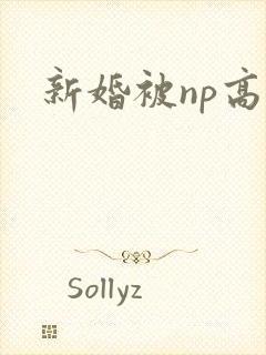 新婚被np高h