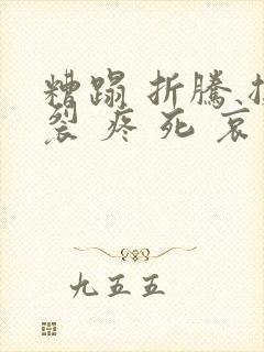 糟蹋 折腾 撕裂 疼 死 哀求