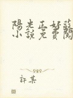 阳光正好苏玥玥小说免费阅读无弹窗
