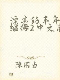 漂亮的丰年经的继拇2中文版