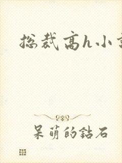 总裁高h小说