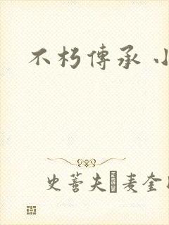 不朽传承 小说