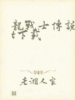 龙战士传说txt下载