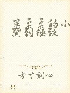 宁柔柔的小泬撑开到极致