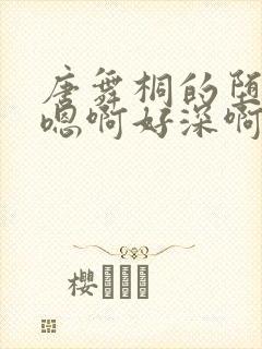 唐舞桐的堕落H嗯啊好深啊封面