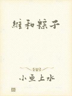 维和粽子封面