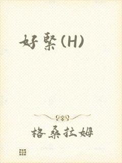 好紧(H)