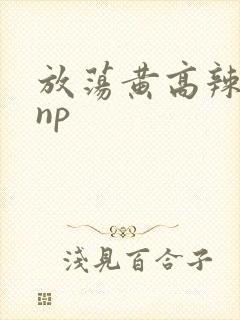放荡黄高辣h文np