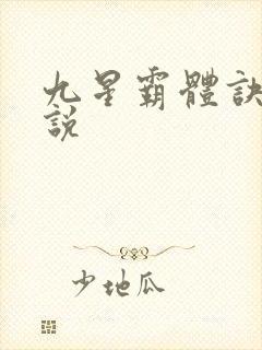 九星霸体诀 小说