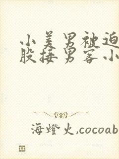 小美男被迫卖屁股接男客小说
