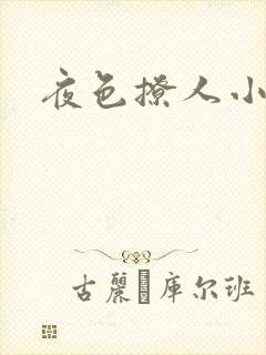 夜色撩人小说
