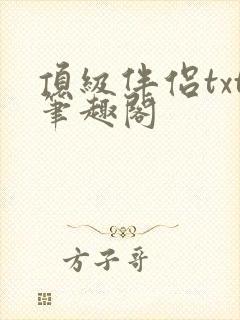 顶级伴侣txt笔趣阁