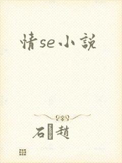 情se小说封面