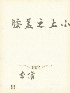 膝盖之上小说
