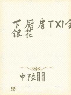 下厨房TXl金银花