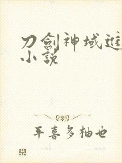 刀剑神域进击篇小说