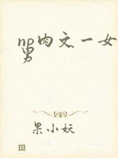 np肉文一女多男