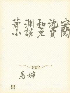 萧渊和沈安安的小说免费阅读