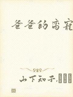 爸爸的脔宠