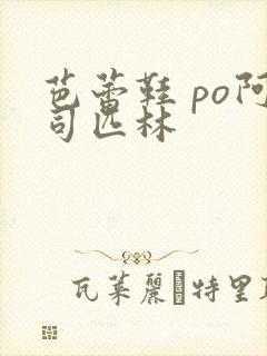 芭蕾鞋 po阿司匹林