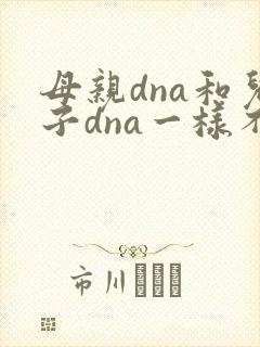 母亲dna和儿子dna一样不
