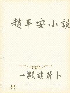 赵平安小说主角