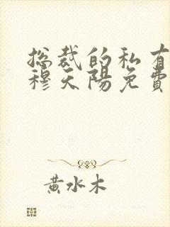 总裁的私有宝贝穆天阳免费