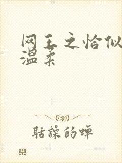 网王之恰似你的温柔封面