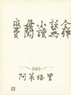 恋母小说全文免费阅读无弹窗笔趣阁封面