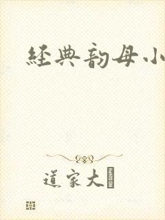经典韵母小说封面