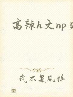 高辣h文np爽