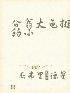公翁大龟挺进我的小