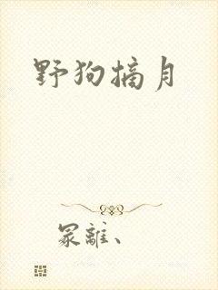 野狗摘月封面