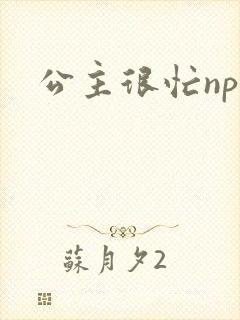 公主很忙npc封面